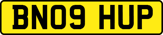 BN09HUP