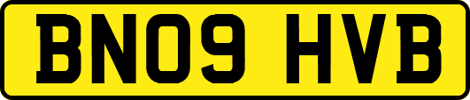 BN09HVB