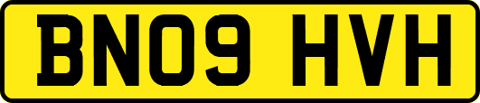 BN09HVH