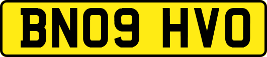 BN09HVO