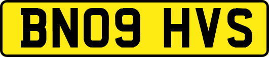 BN09HVS