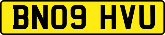 BN09HVU