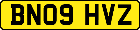 BN09HVZ