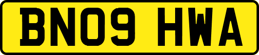 BN09HWA