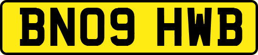 BN09HWB