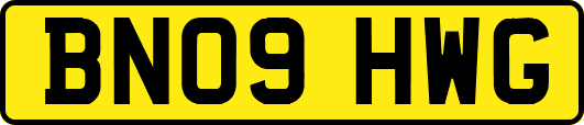 BN09HWG