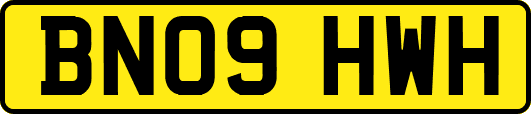 BN09HWH
