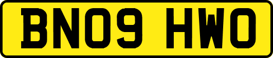 BN09HWO