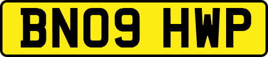 BN09HWP