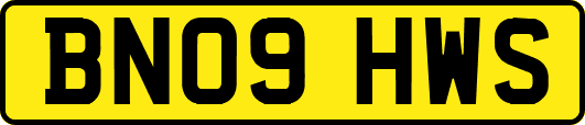 BN09HWS