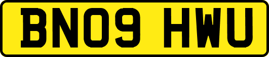 BN09HWU