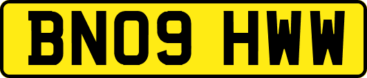 BN09HWW