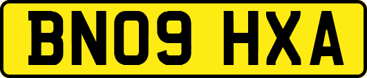 BN09HXA