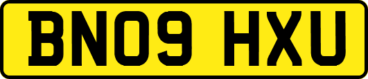 BN09HXU