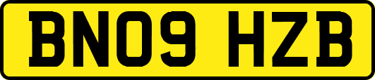 BN09HZB