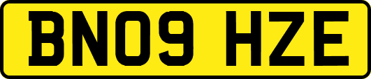 BN09HZE