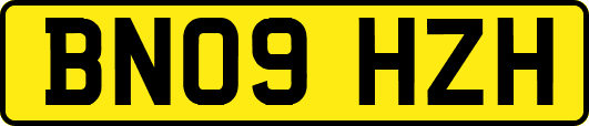 BN09HZH
