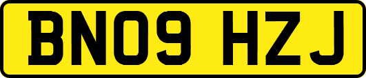BN09HZJ