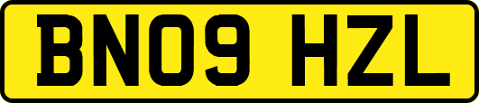 BN09HZL