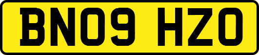 BN09HZO