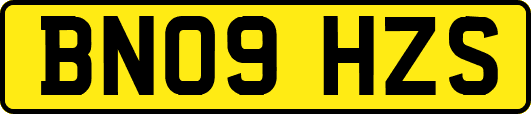 BN09HZS