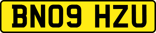 BN09HZU