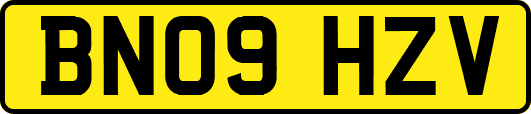 BN09HZV