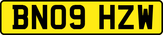 BN09HZW