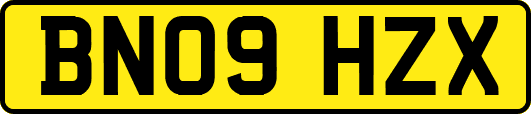 BN09HZX