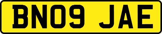 BN09JAE
