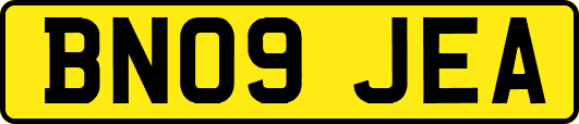 BN09JEA