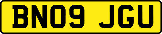 BN09JGU