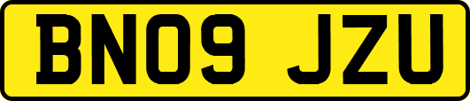 BN09JZU