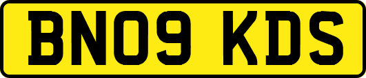 BN09KDS