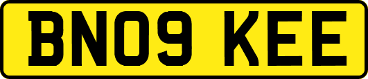 BN09KEE