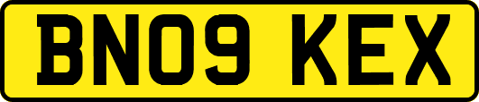 BN09KEX