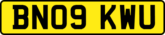 BN09KWU