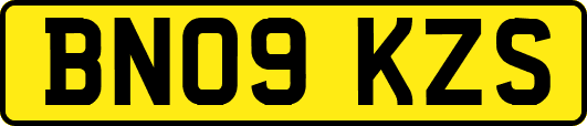 BN09KZS