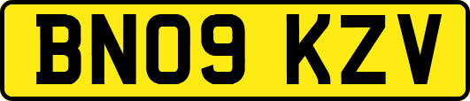 BN09KZV