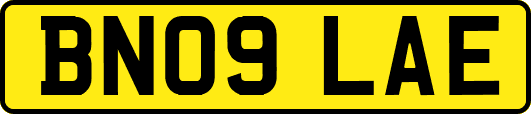 BN09LAE