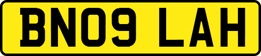 BN09LAH