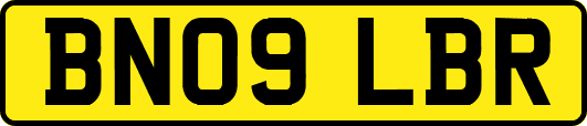 BN09LBR