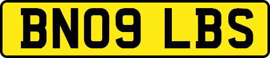 BN09LBS