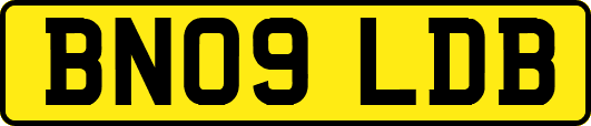 BN09LDB