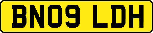 BN09LDH