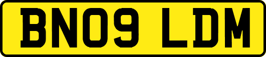 BN09LDM