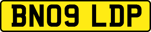 BN09LDP