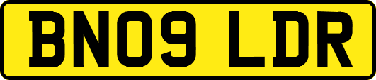 BN09LDR