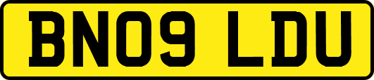 BN09LDU