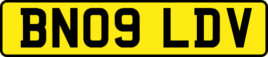 BN09LDV